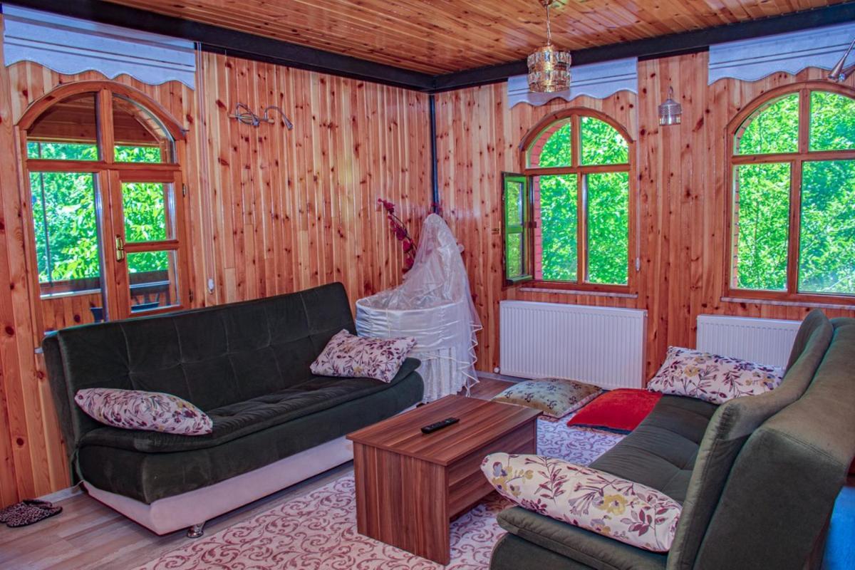 Abant Yesil Vadi Koc Pansiyon Dereceoren Phòng bức ảnh